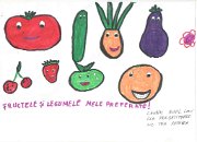 79_Czudik Raul_LT Repedea_PRIM